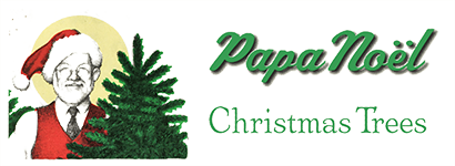Papa Noel Christmas Trees